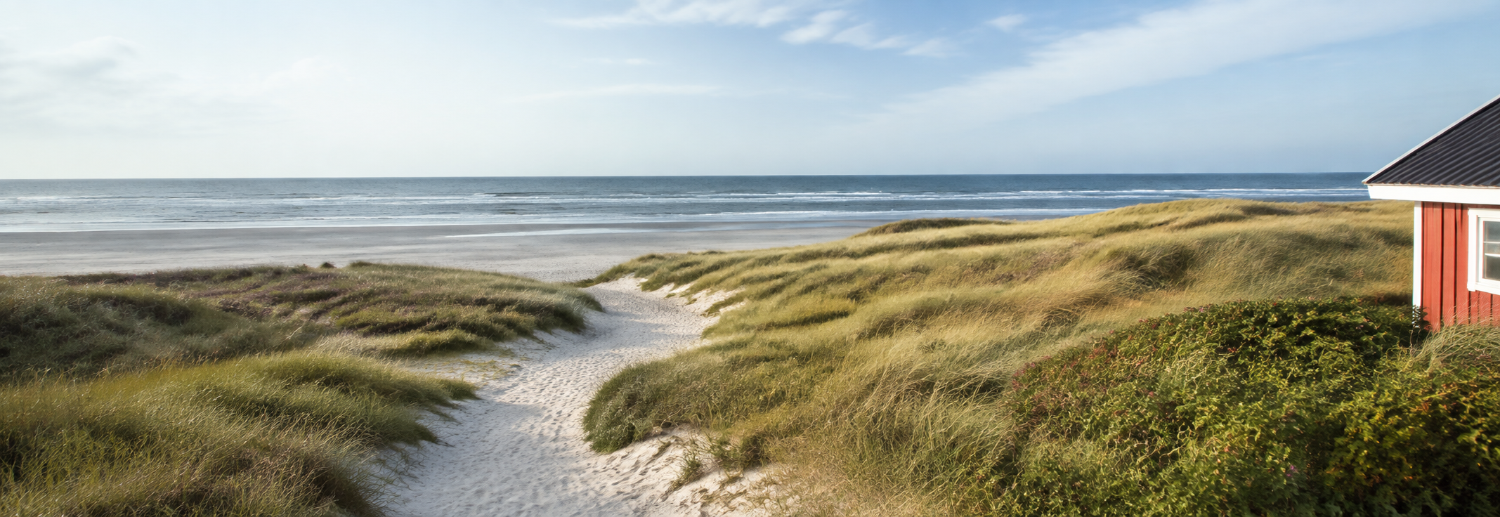 Klitter og Vesterhavet på Rømø